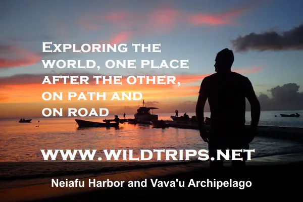 Neiafu Harbor and Vava'u Archipelago