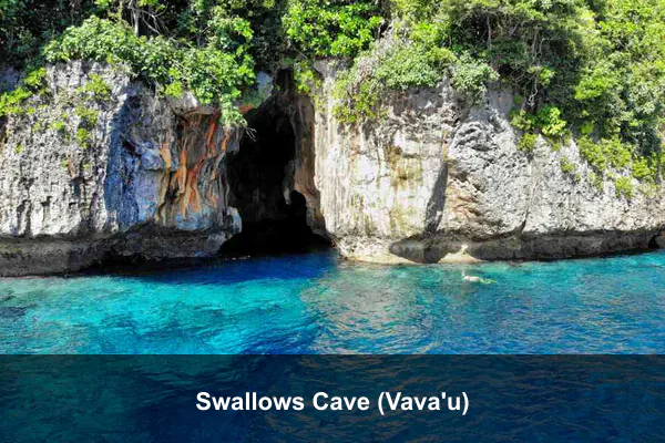 Swallows Cave (Vava'u)