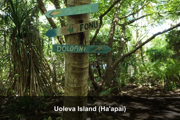 Uoleva Island (Ha'apai)