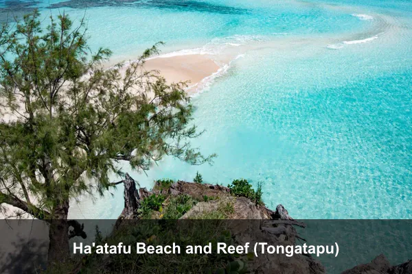 Ha'atafu Beach and Reef (Tongatapu)