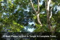 10 Best Places to Visit in Tonga: A Complete Travel Guide 10 Best Places to Visit in Tonga: A Complete Travel Guide