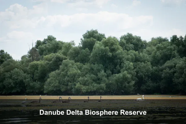 Danube Delta Biosphere Reserve