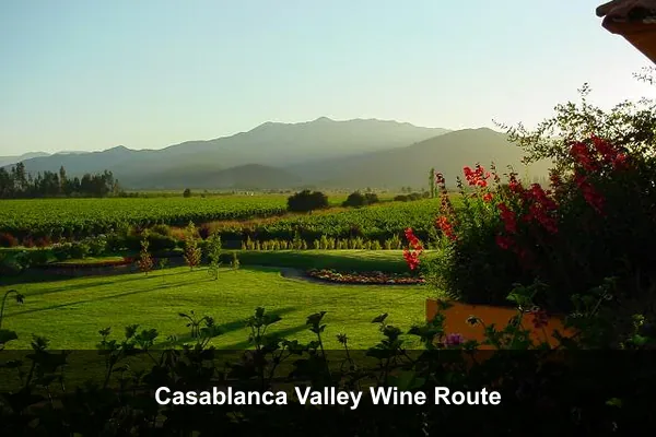 Casablanca Valley Wine Route