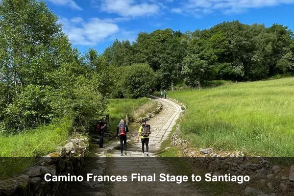 Camino Frances Final Stage to Santiago
