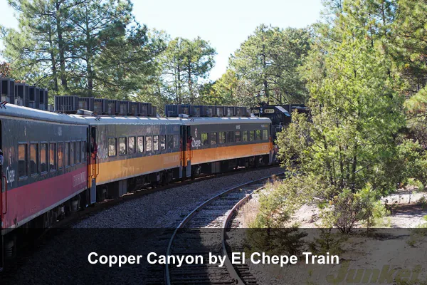 Copper Canyon by El Chepe Train